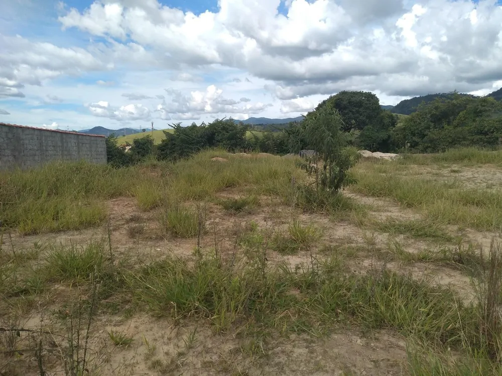 Terreno, 2289 m² - Foto 5