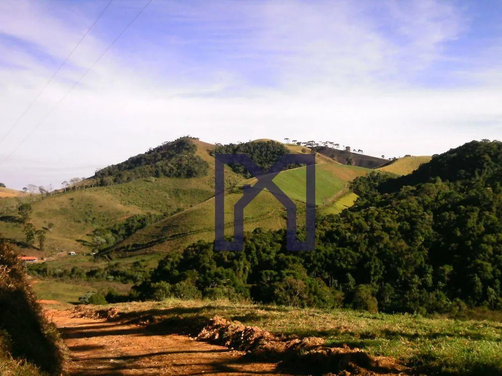 Fazenda, 15 hectares - Foto 1