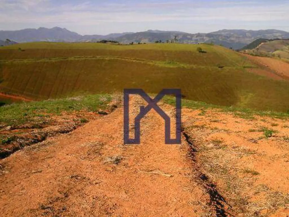 Fazenda, 15 hectares - Foto 7