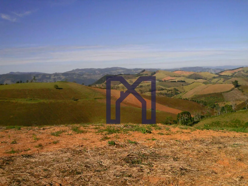 Fazenda, 15 hectares - Foto 4