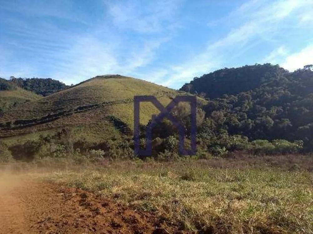 Fazenda, 15 hectares - Foto 3