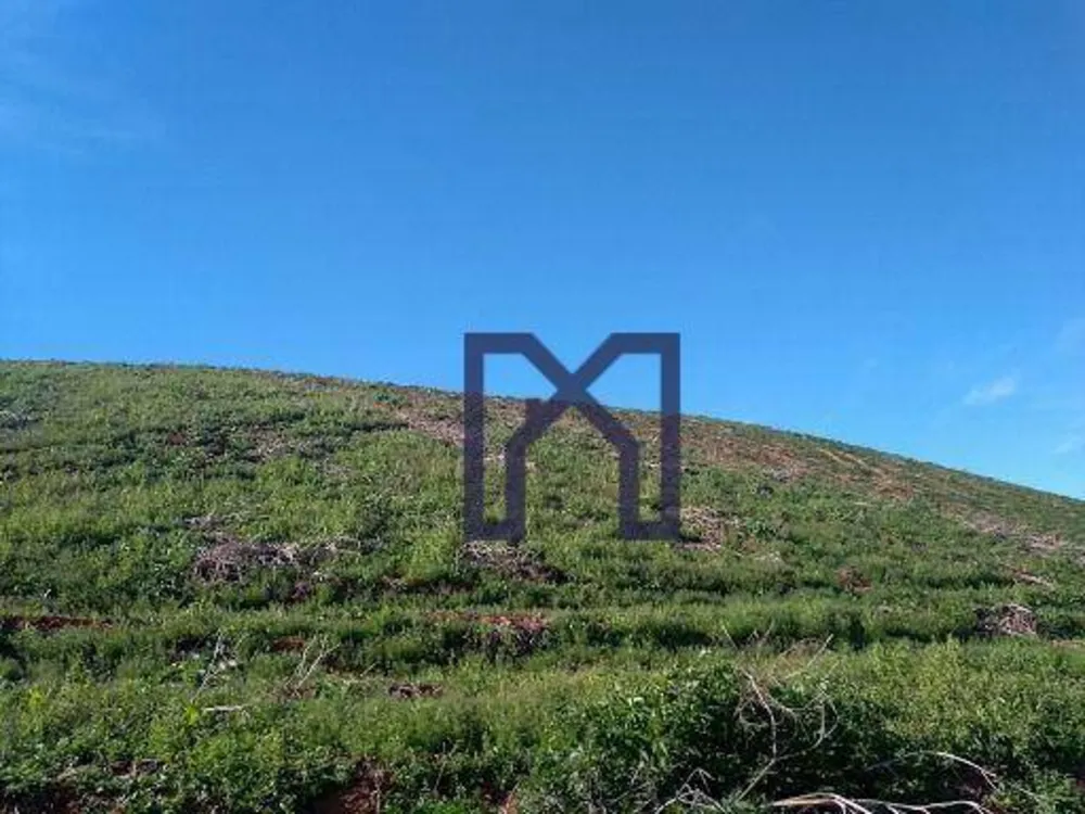 Fazenda, 15 hectares - Foto 6