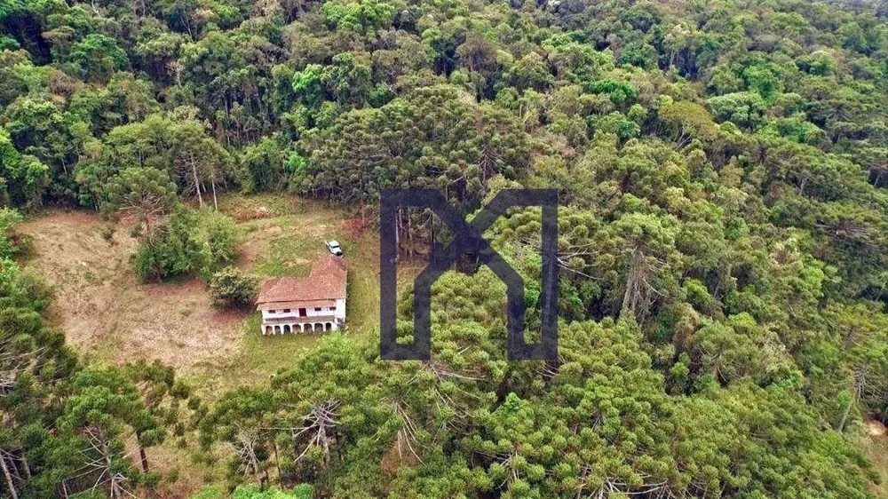 Fazenda, 493 hectares - Foto 1