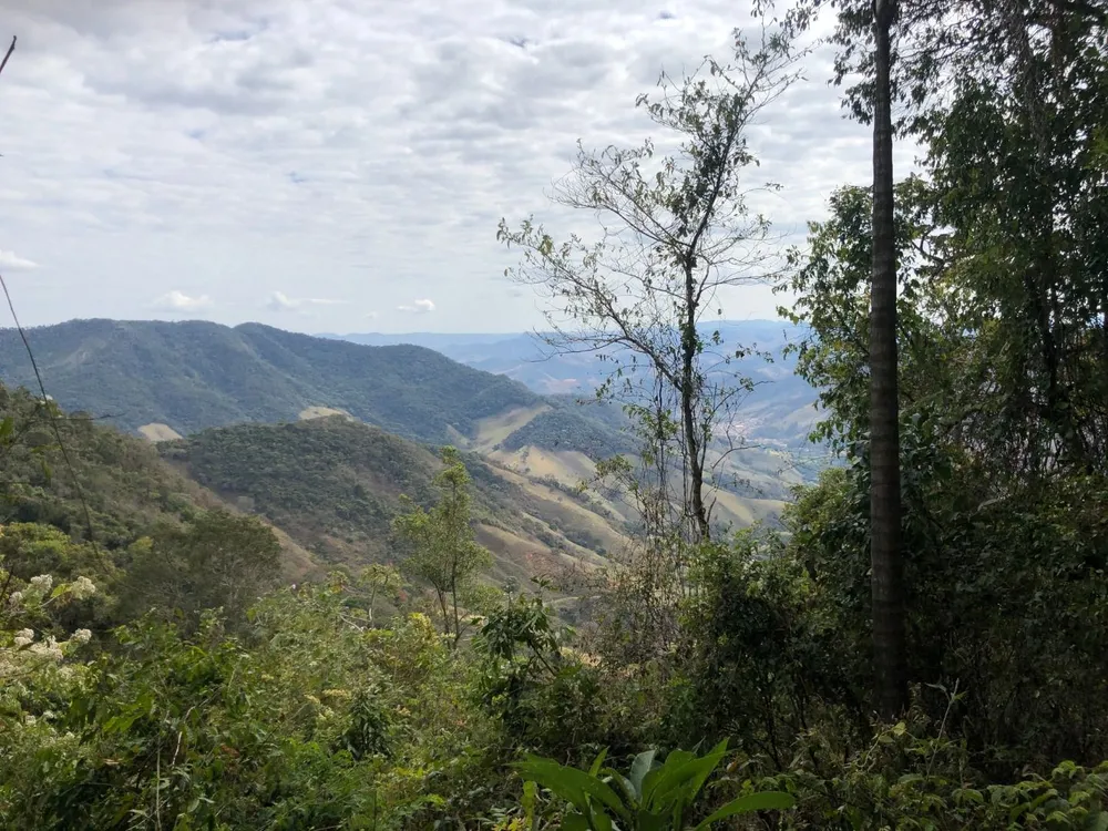 Fazenda, 493 hectares - Foto 6