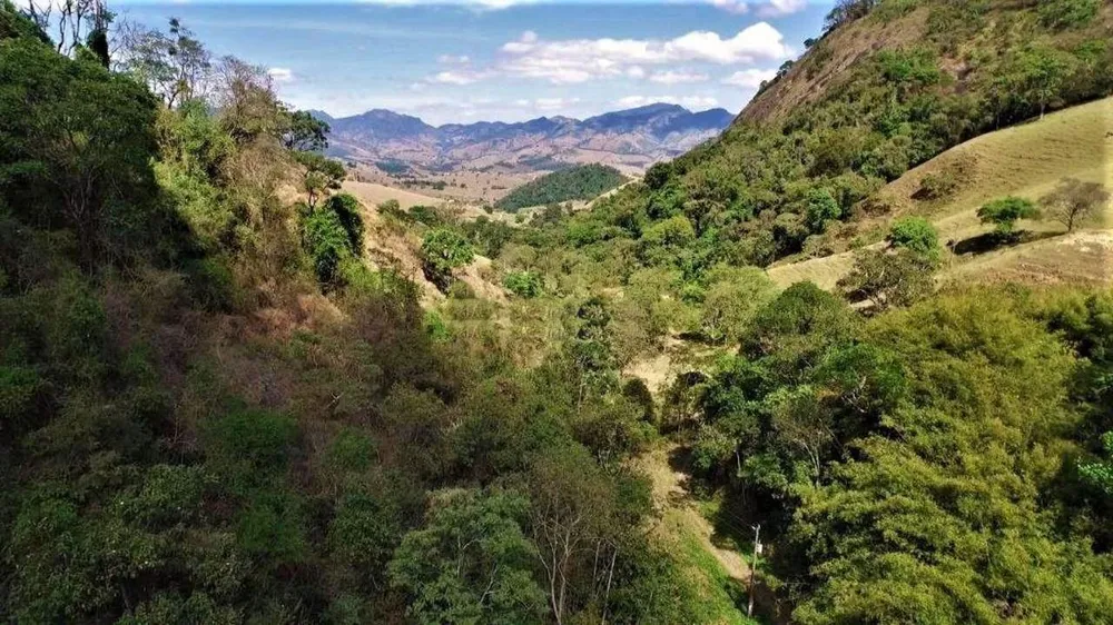 Fazenda, 493 hectares - Foto 3