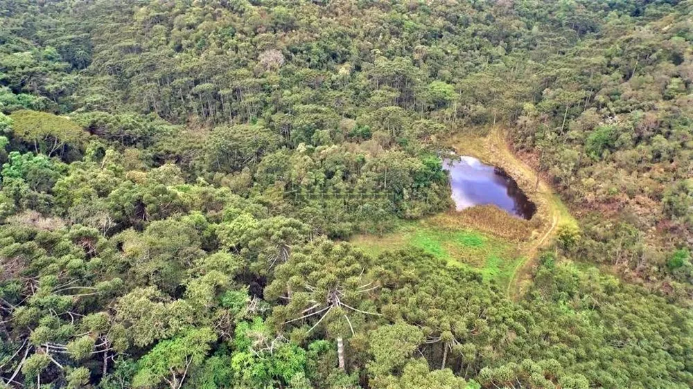 Fazenda, 493 hectares - Foto 7