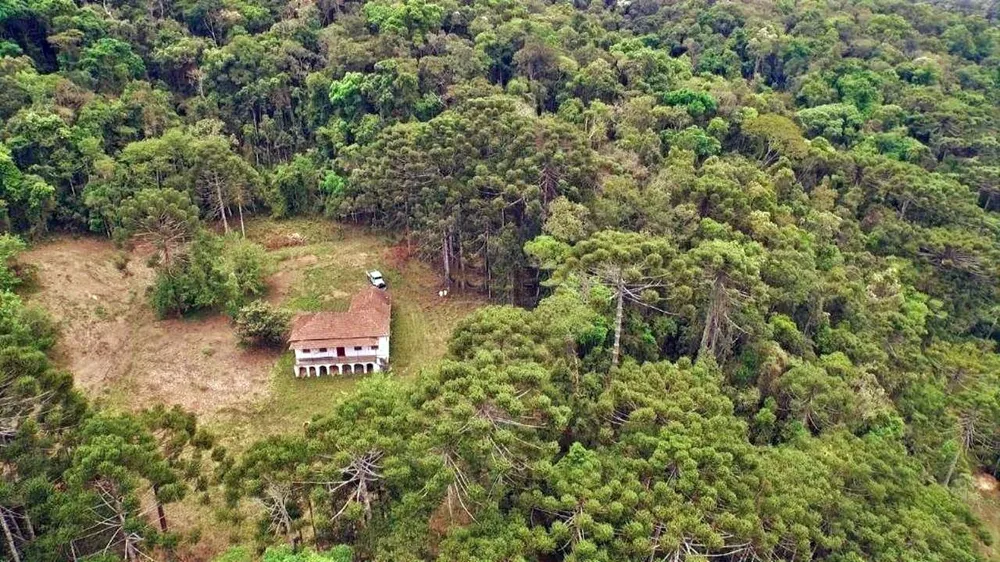 Fazenda, 493 hectares - Foto 5