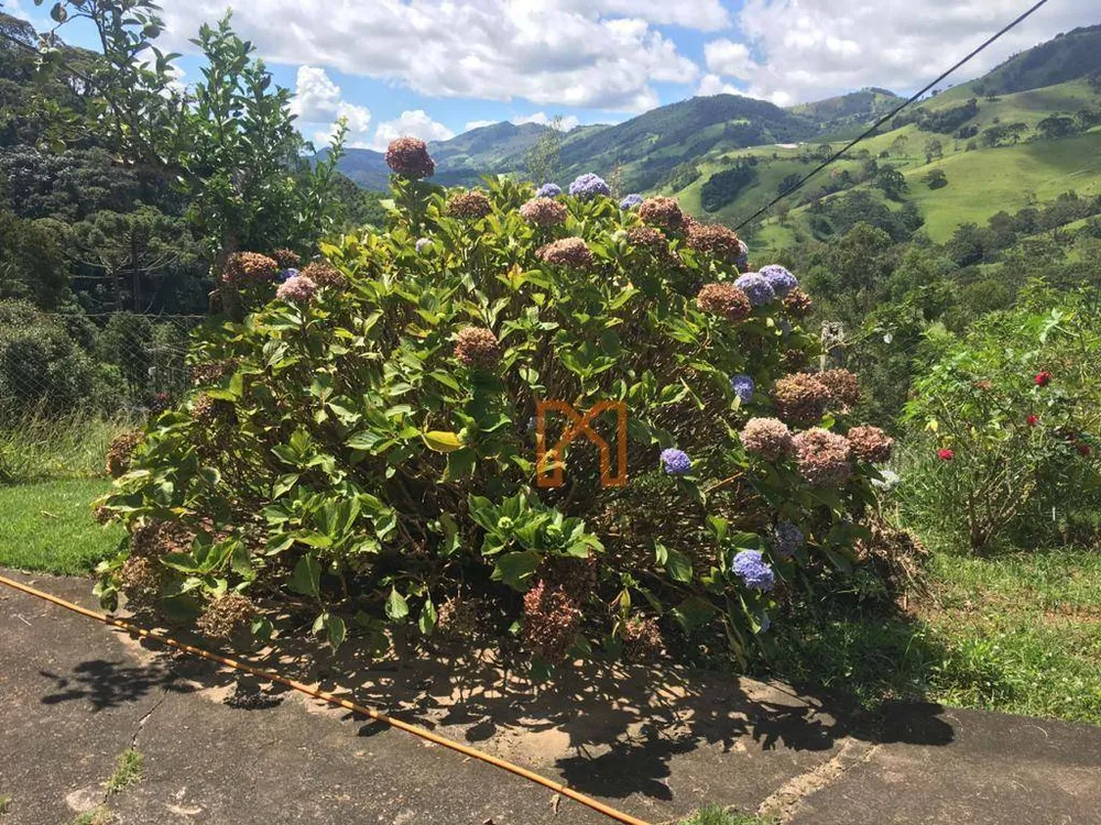 Fazenda, 281 hectares - Foto 4