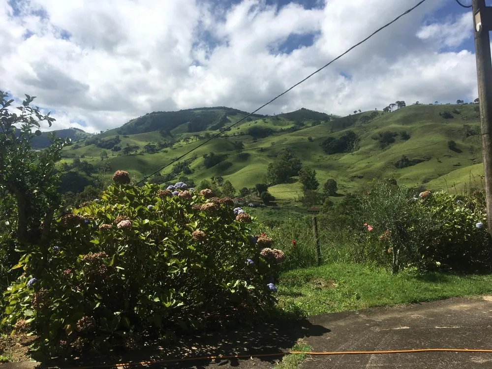 Fazenda, 281 hectares - Foto 6