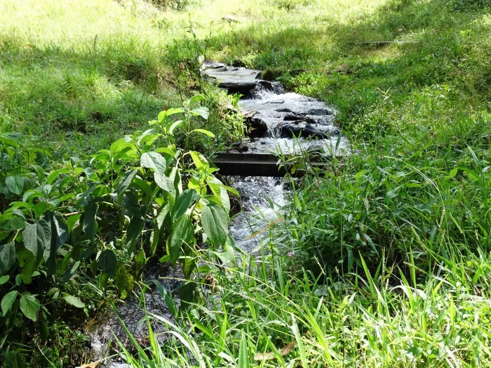 Fazenda, 281 hectares - Foto 18