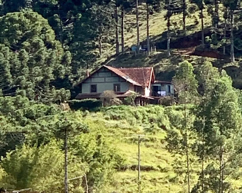Fazenda, 281 hectares - Foto 10