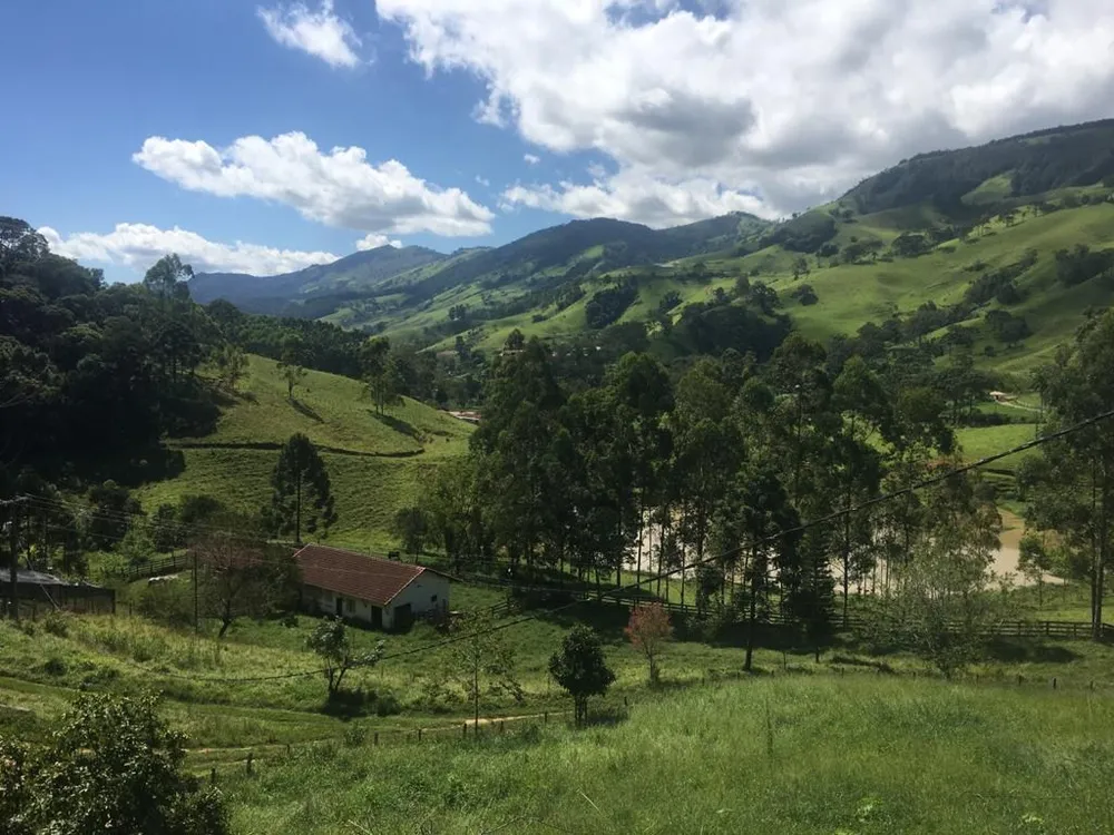 Fazenda, 281 hectares - Foto 11