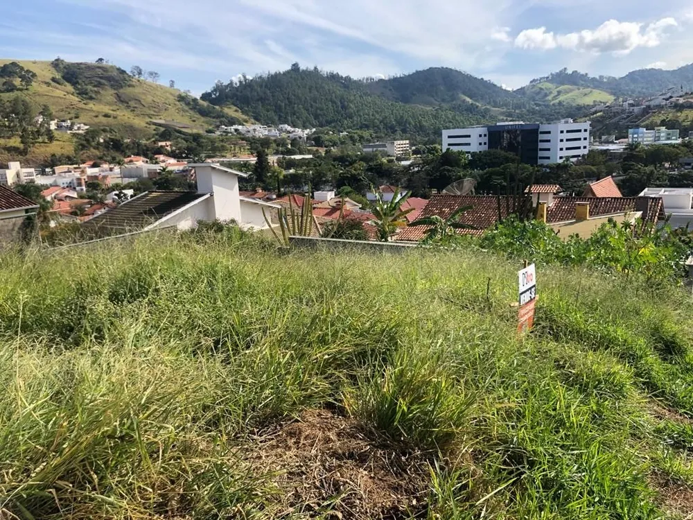 Terreno, 525 m² - Foto 11