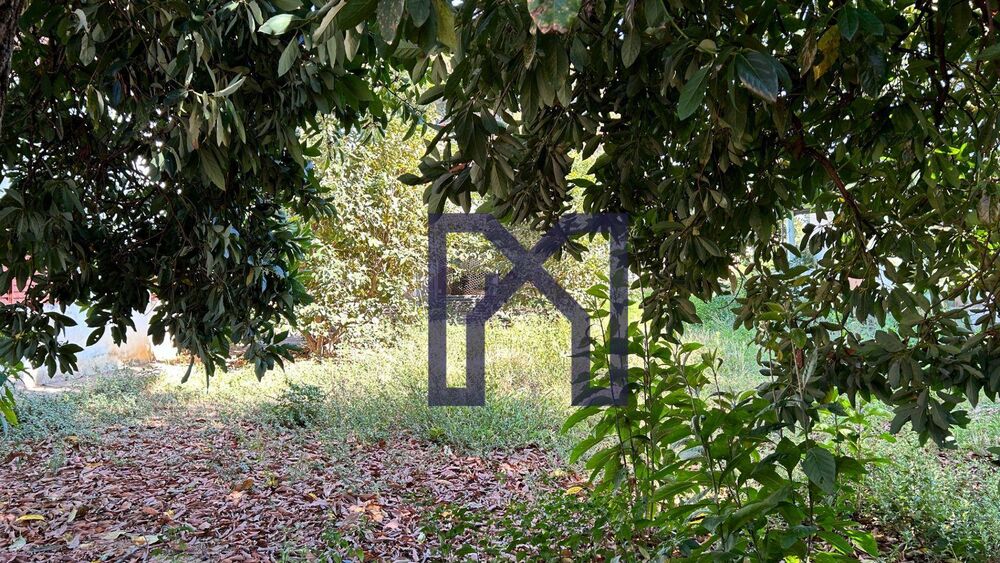 Terreno, 2292 m² - Foto 15