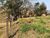 Terreno, 400 m² - Foto 8