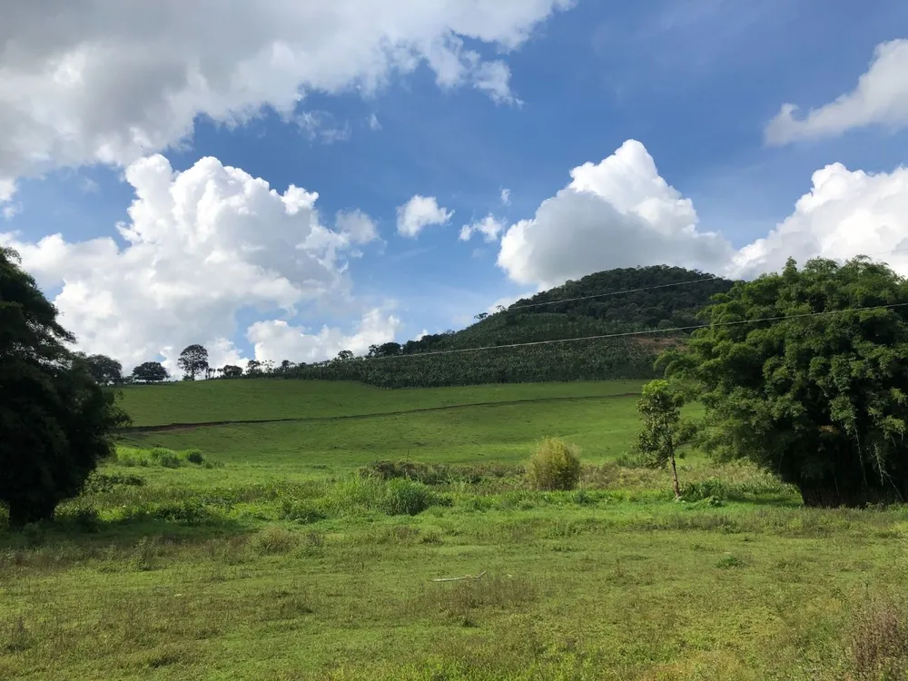 Fazenda, 36 hectares - Foto 14