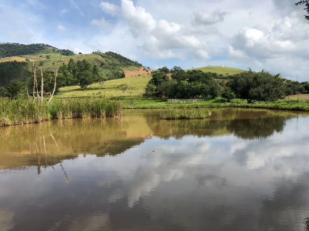 Fazenda, 36 hectares - Foto 15