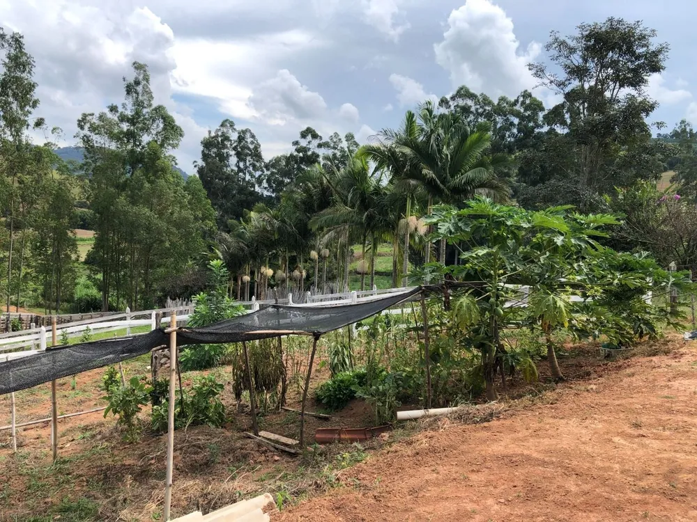 Fazenda, 36 hectares - Foto 16