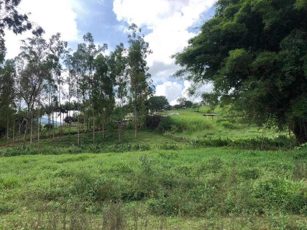 Fazenda, 36 hectares - Foto 18