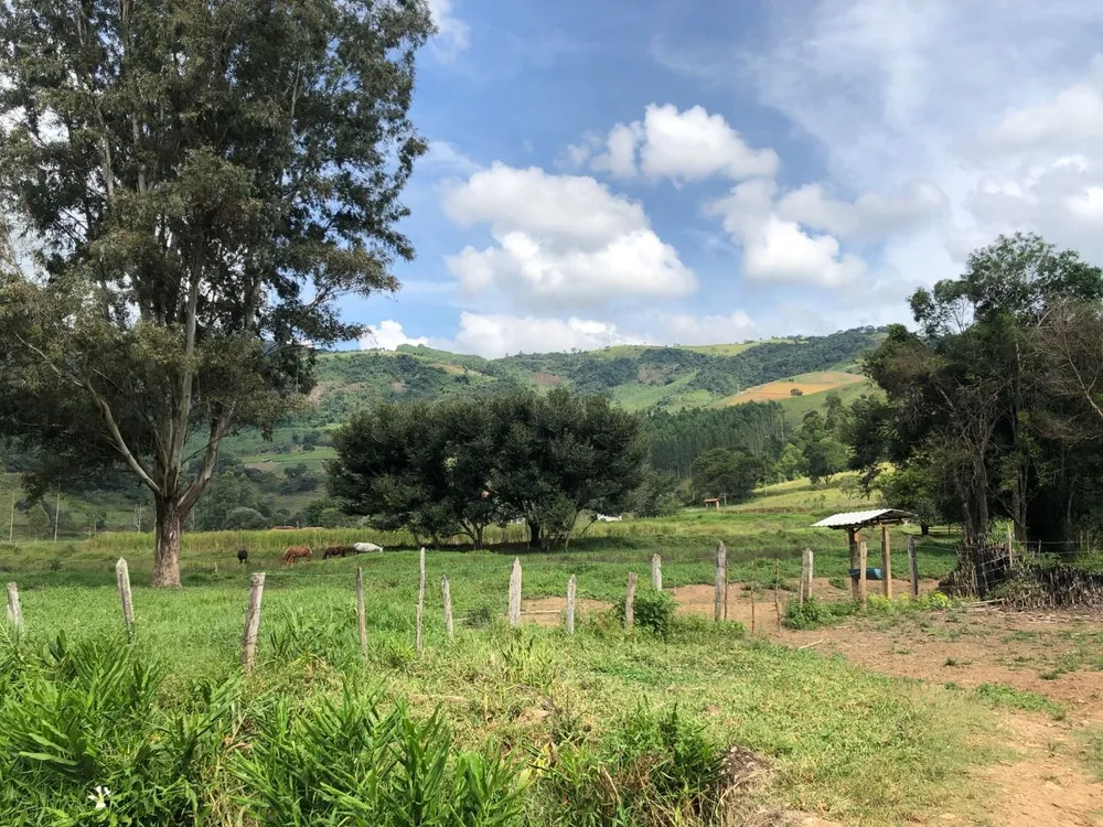 Fazenda, 36 hectares - Foto 20
