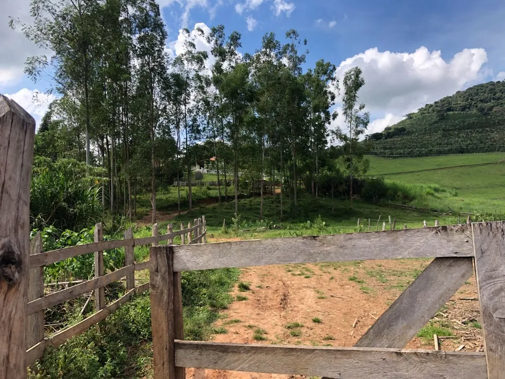 Fazenda, 36 hectares - Foto 13