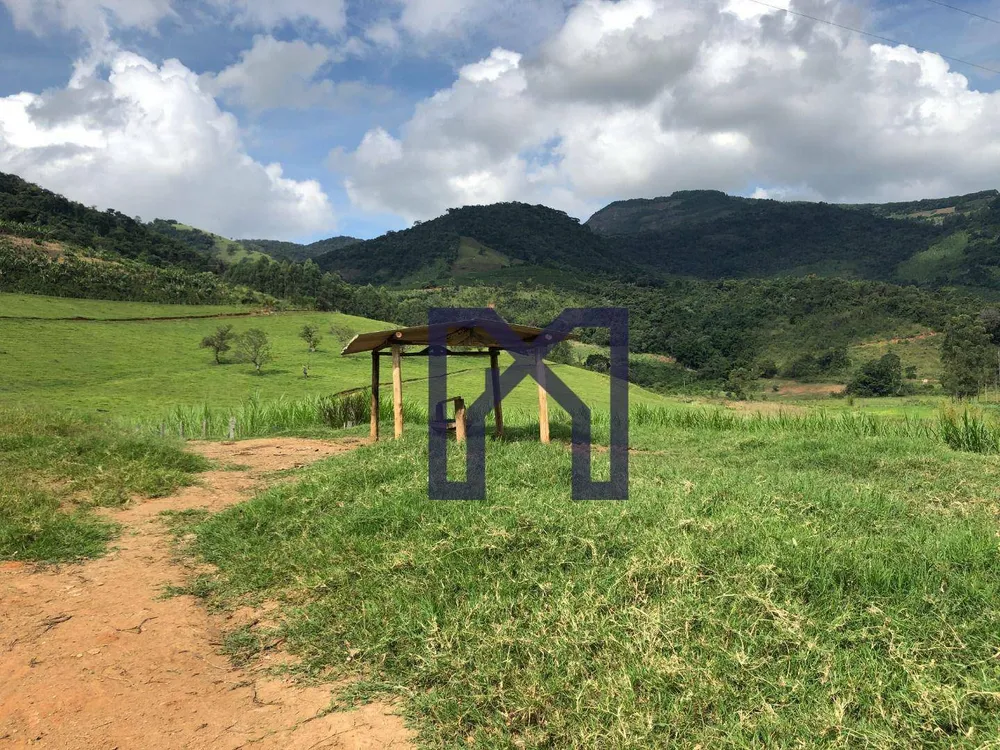 Fazenda, 36 hectares - Foto 12