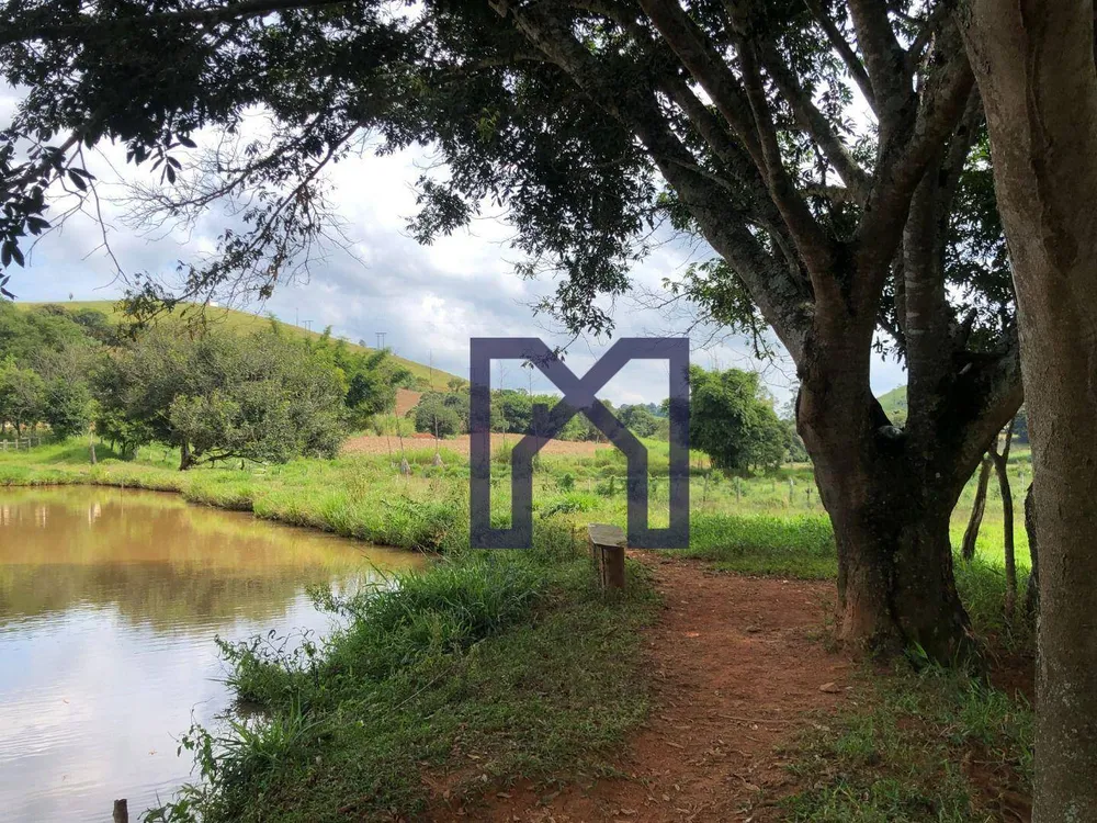 Fazenda, 36 hectares - Foto 10