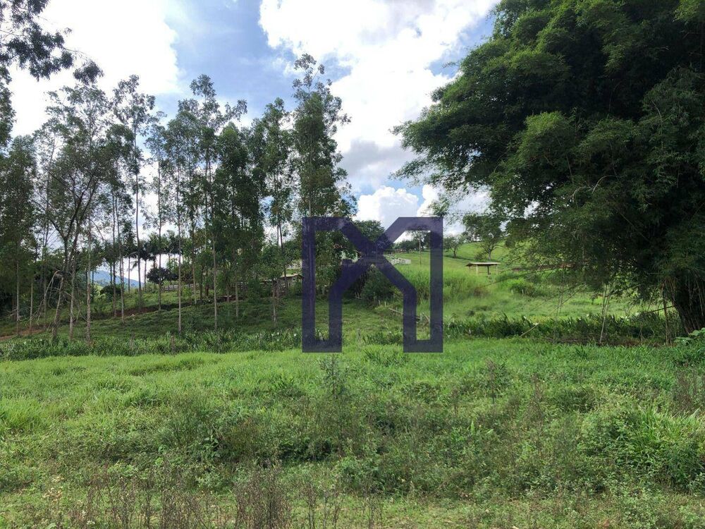 Sítio à venda com 3 quartos, 359300M2 - Foto 9
