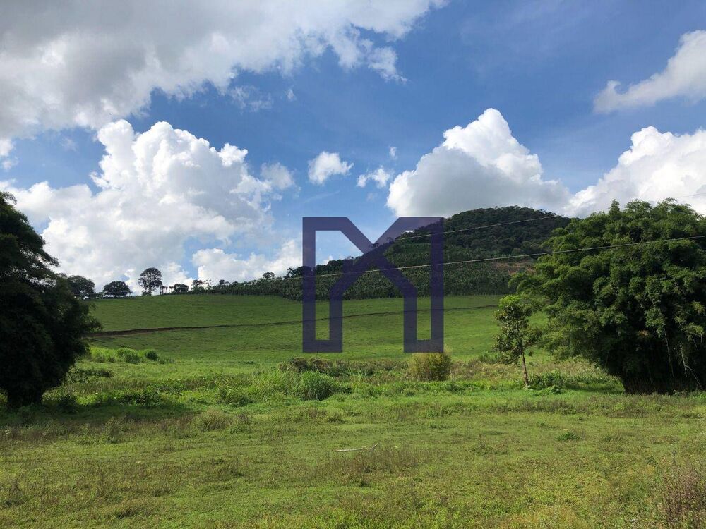 Sítio à venda com 3 quartos, 359300M2 - Foto 5