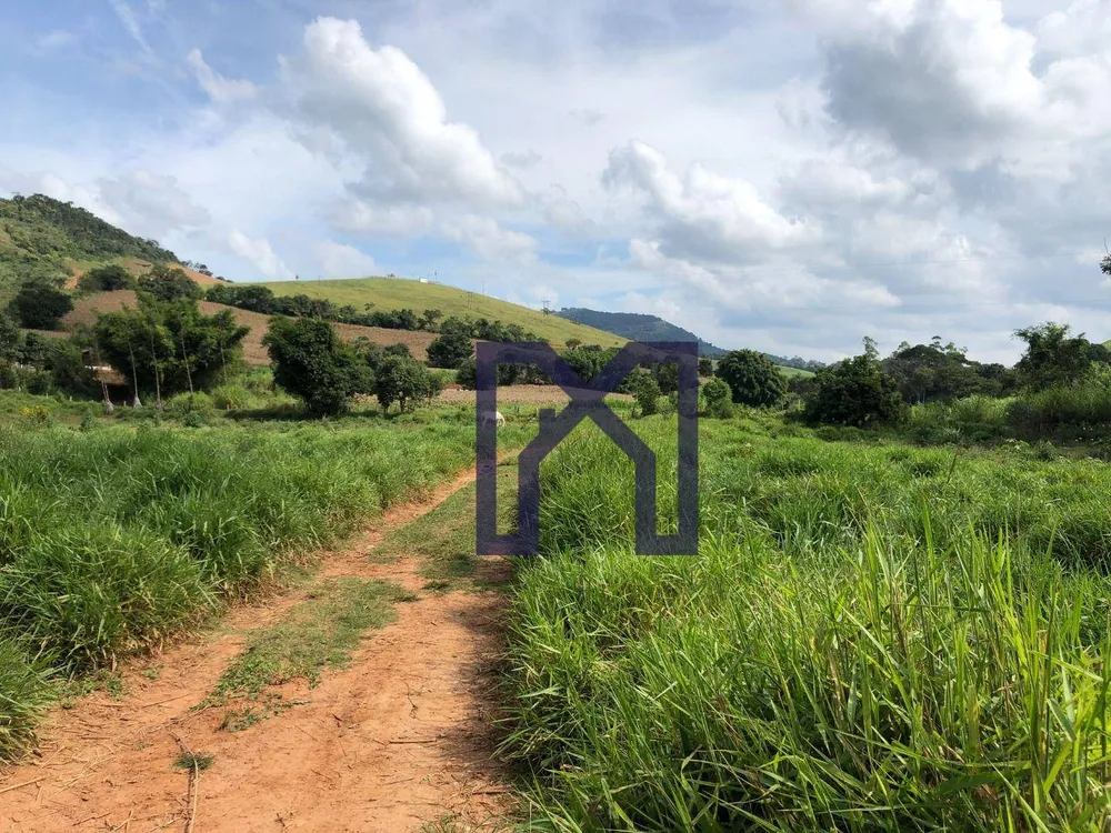 Fazenda, 36 hectares - Foto 11