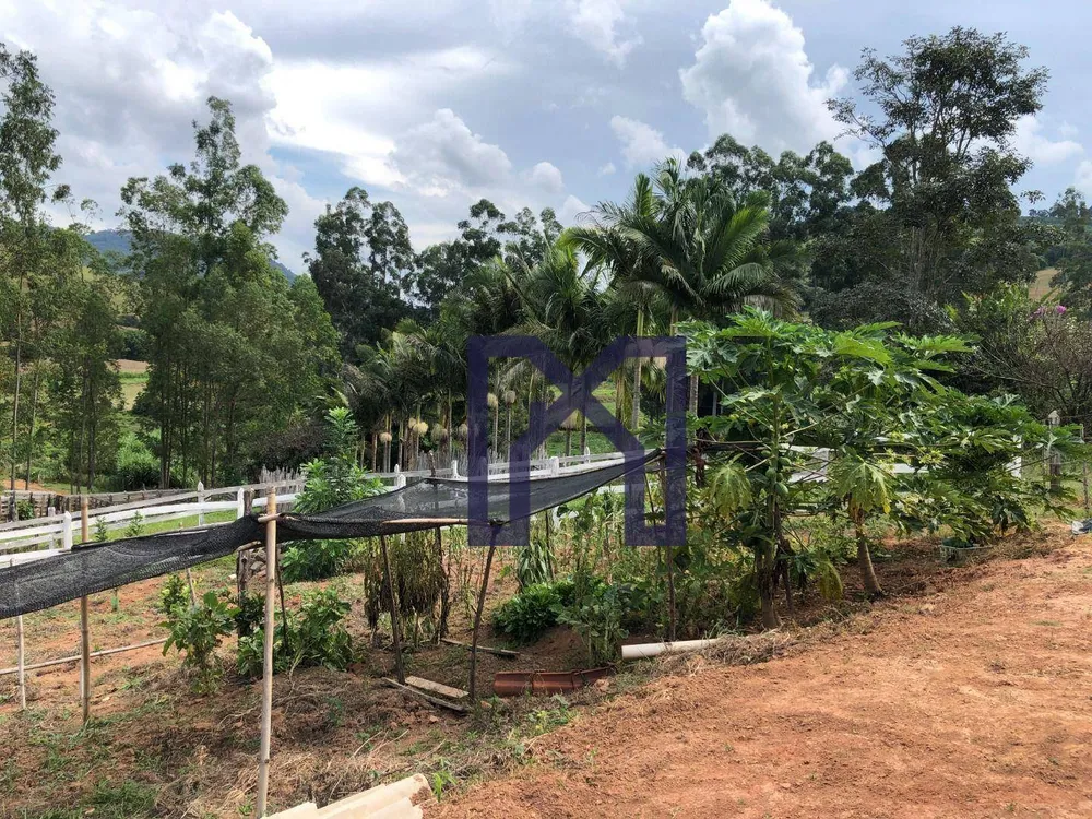 Fazenda, 36 hectares - Foto 9