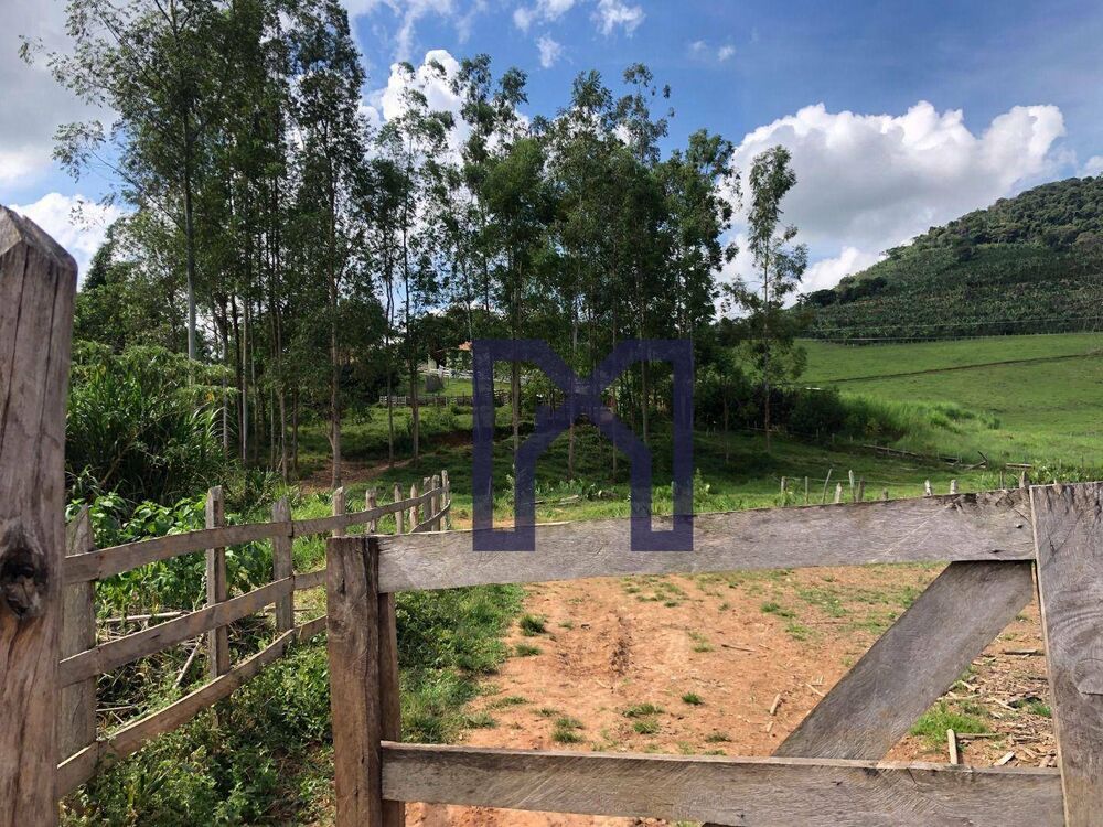 Sítio à venda com 3 quartos, 359300M2 - Foto 2