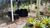 Apartamento, 3 quartos, 77 m² - Foto 18