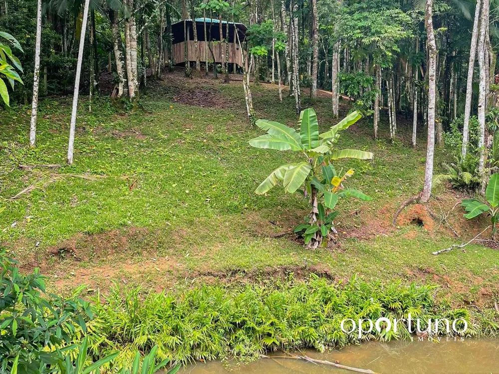 Sítio, 2 quartos, 6000 m² - Foto 6