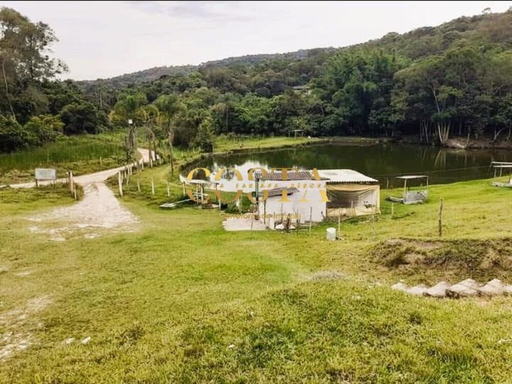 Terreno, 21 hectares - Foto 4
