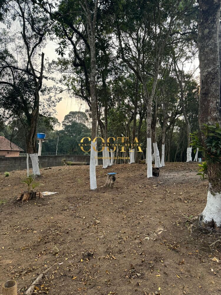 Terreno, 1751 m² - Foto 10