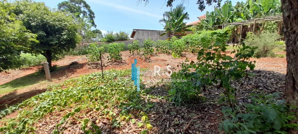 Chácara, 4 quartos, 4867 m² - Foto 8