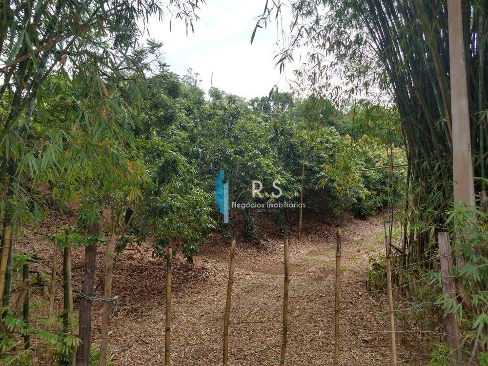Sítio à venda com 1 quarto, 21340M2 - Foto 2