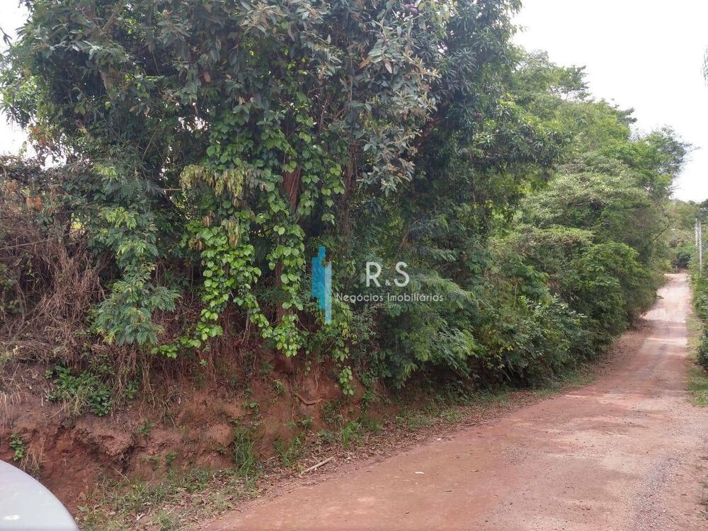 Sítio à venda com 1 quarto, 21340M2 - Foto 4