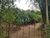 Sítio, 1 quarto, 2 hectares - Foto 2