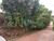 Sítio, 1 quarto, 2 hectares - Foto 4