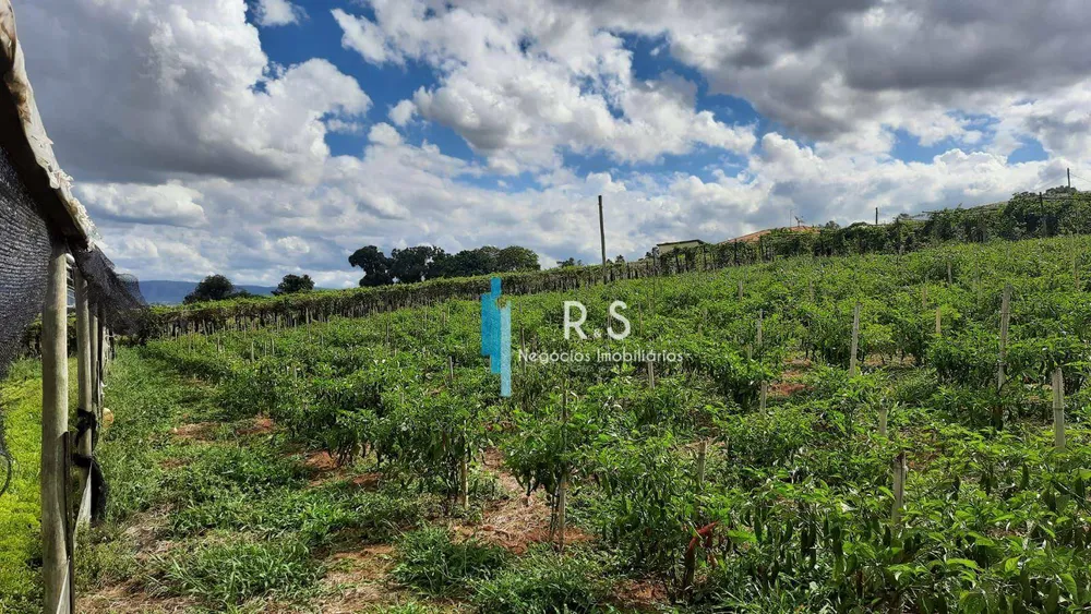Sítio, 18 quartos, 4 hectares - Foto 6