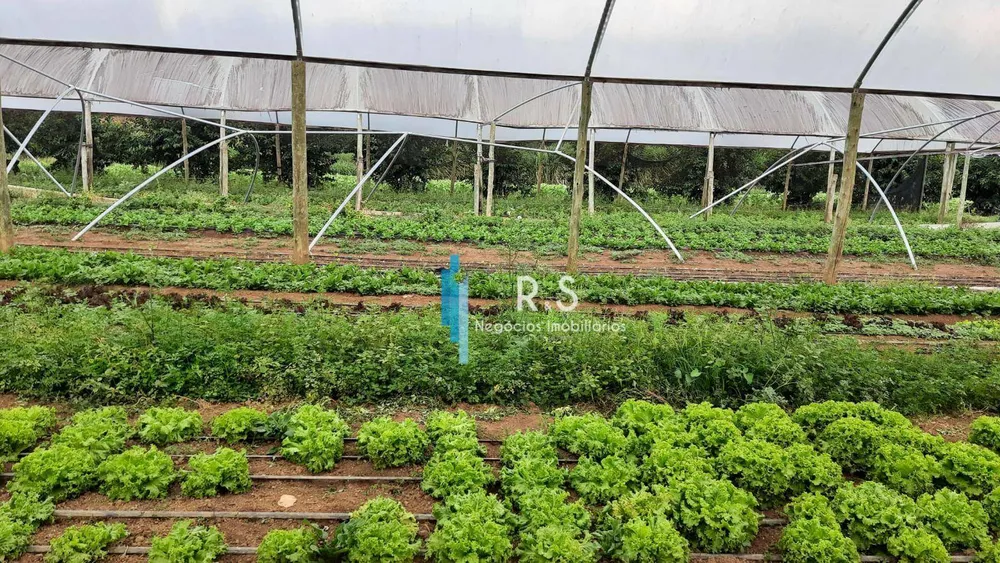 Sítio, 18 quartos, 4 hectares - Foto 4