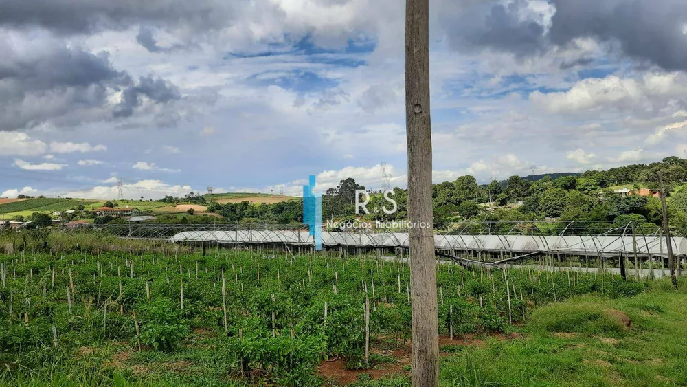 Sítio, 18 quartos, 4 hectares - Foto 1