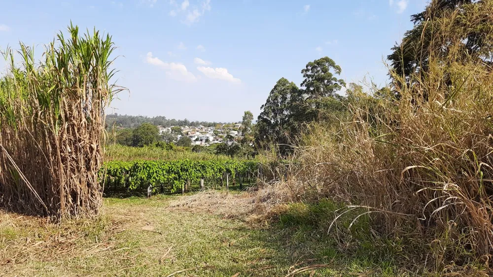 Terreno, 4 hectares - Foto 9