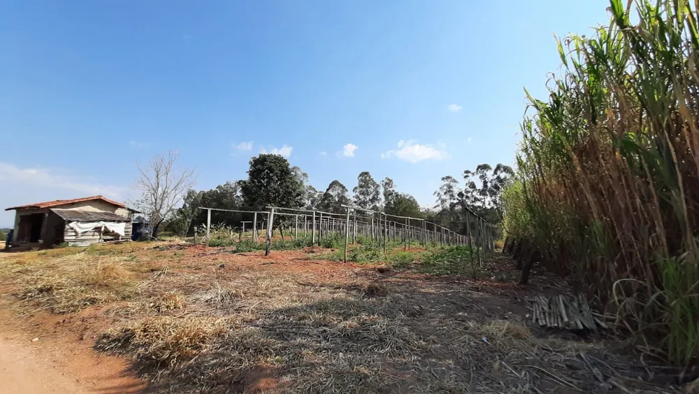 Terreno, 4 hectares - Foto 10