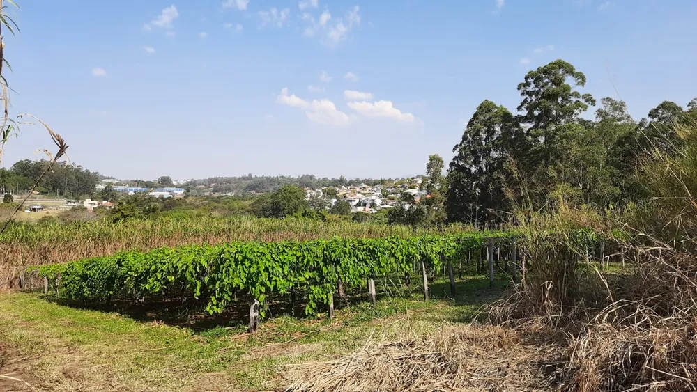 Terreno, 4 hectares - Foto 7