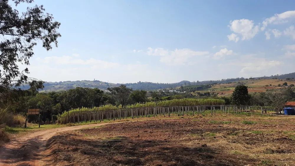 Terreno, 4 hectares - Foto 11