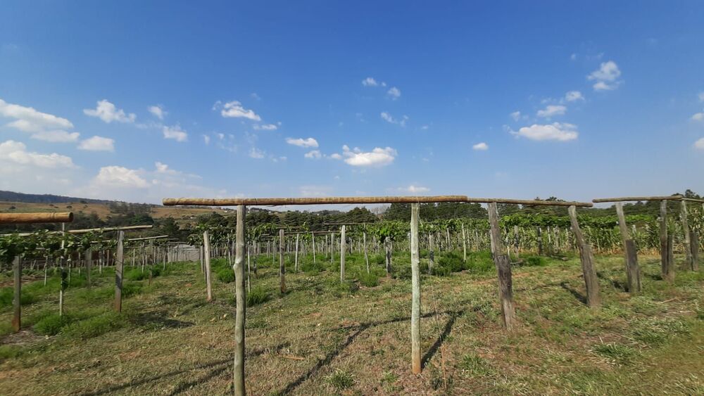 Terreno à venda, 44624M2 - Foto 4