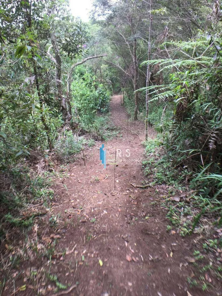 Sítio, 4 quartos, 12 hectares - Foto 8